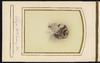 79837-Thumbnail Image.jpg
