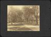 79847-Thumbnail Image.jpg