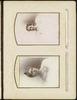 79885-Thumbnail Image.jpg