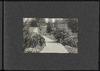 79890-Thumbnail Image.jpg