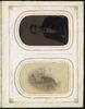 79924-Thumbnail Image.jpg