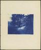 80034-Thumbnail Image.jpg