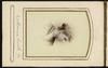 80040-Thumbnail Image.jpg