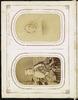 80147-Thumbnail Image.jpg