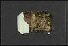 80157-Thumbnail Image.jpg