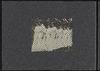 80162-Thumbnail Image.jpg