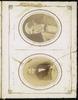 80193-Thumbnail Image.jpg