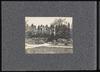 80196-Thumbnail Image.jpg