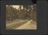 80211-Thumbnail Image.jpg