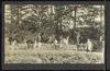 80279-Thumbnail Image.jpg
