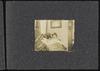 80299-Thumbnail Image.jpg