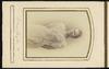 80344-Thumbnail Image.jpg