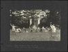 80358-Thumbnail Image.jpg