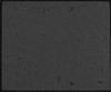 80377-Thumbnail Image.jpg