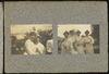 80382-Thumbnail Image.jpg