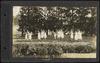 80420-Thumbnail Image.jpg