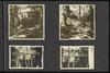 80421-Thumbnail Image.jpg