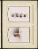 80422-Thumbnail Image.jpg