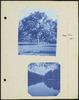 80465-Thumbnail Image.jpg