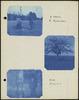 80484-Thumbnail Image.jpg