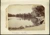 80557-Thumbnail Image.jpg