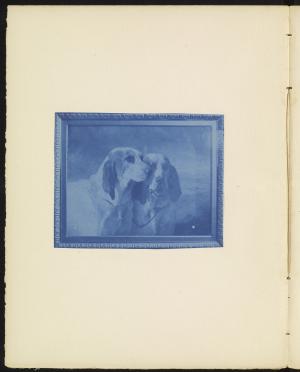 80559-Service File.jpg