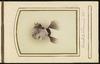 80564-Thumbnail Image.jpg