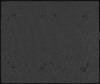 80589-Thumbnail Image.jpg