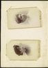 80625-Thumbnail Image.jpg