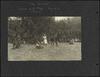 80629-Thumbnail Image.jpg