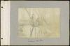 80653-Thumbnail Image.jpg