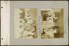 80654-Thumbnail Image.jpg