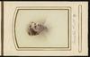 80679-Thumbnail Image.jpg