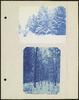 80773-Thumbnail Image.jpg
