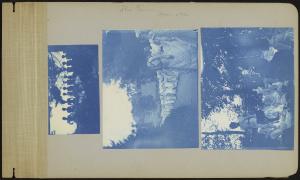 80815-Service File.jpg