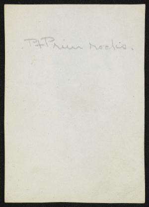81097-Service File.jpg