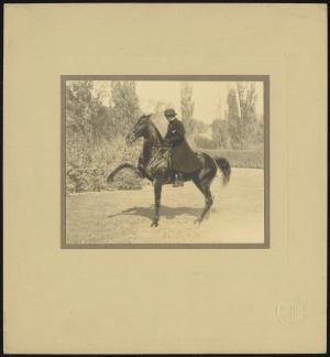 81817-Service File.jpg