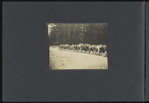 82597-Service File.jpg