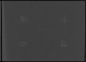83631-Service File.jpg