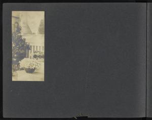 83669-Service File.jpg