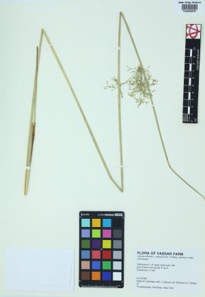 84837-Service File.jpg