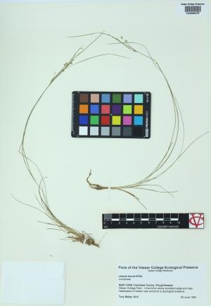 84839-Service File.jpg