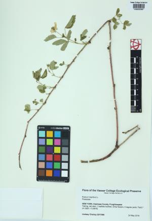 84886-Service File.jpg