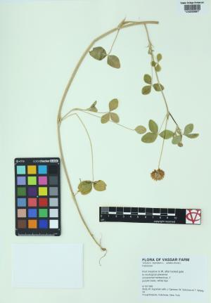 84932-Service File.jpg
