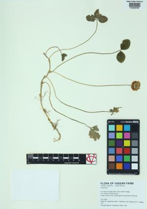 84952-Service File.jpg