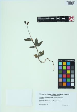 84956-Service File.jpg