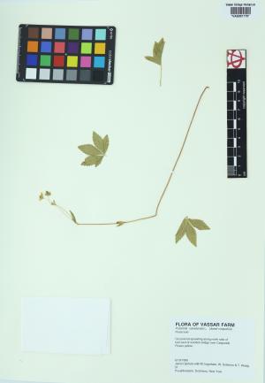 84989-Service File.jpg