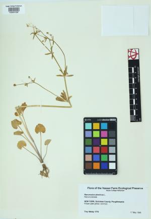 85015-Service File.jpg