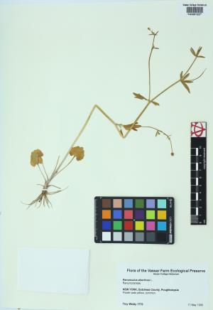 85016-Service File.jpg