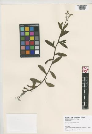 85025-Service File.jpg